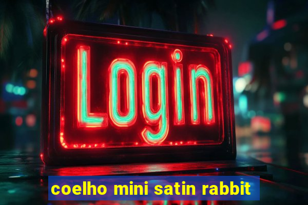 coelho mini satin rabbit